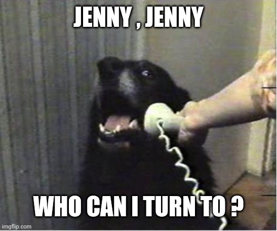 Yes this is dog | JENNY , JENNY WHO CAN I TURN TO ? | image tagged in yes this is dog | made w/ Imgflip meme maker