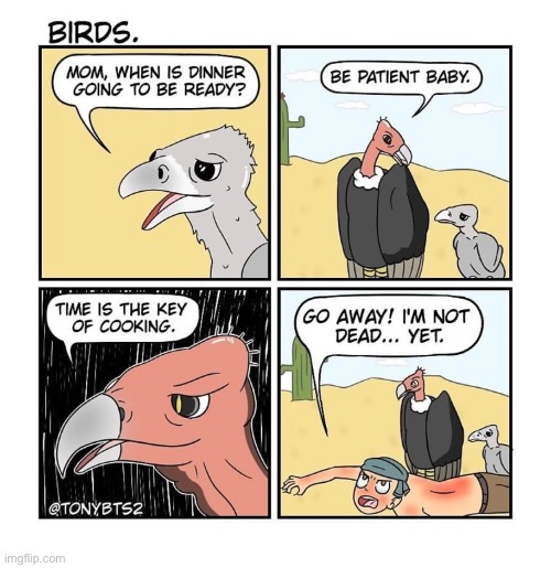 Birds by Demilked (Credit in comments) Last comic got 22 upvotes in less then 24 hours! You all are amazing! I’m not going to pu | image tagged in comics,memes,funny,thanks,demilked | made w/ Imgflip meme maker