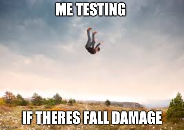 ME TESTING; IF THERES FALL DAMAGE | made w/ Imgflip meme maker