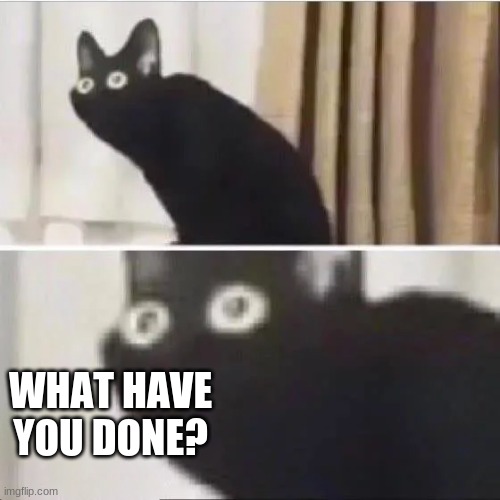 Scared cat | WHAT HAVE YOU DONE? | image tagged in scared cat | made w/ Imgflip meme maker