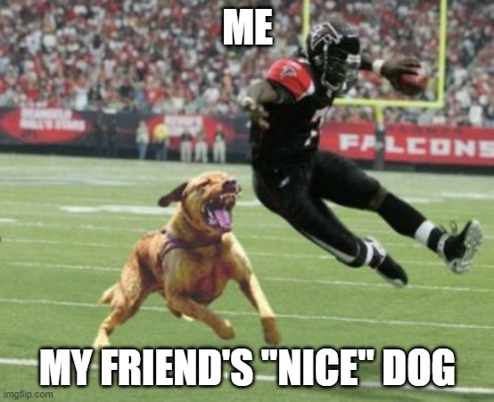 ME; MY FRIEND'S "NICE" DOG | image tagged in funny memes | made w/ Imgflip meme maker