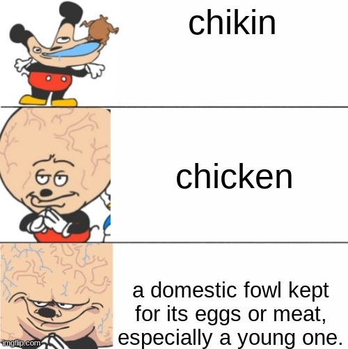 a domestic fowl kept for its eggs or meat, especially a young one. | chikin; chicken; a domestic fowl kept for its eggs or meat, especially a young one. | image tagged in expanding brain mokey | made w/ Imgflip meme maker