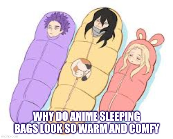 WHY DO ANIME SLEEPING BAGS LOOK SO WARM AND COMFY | made w/ Imgflip meme maker