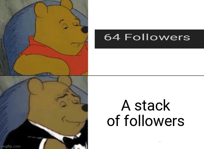 I have a stack of followers, so why not make a meme about it? | A stack of followers | image tagged in memes,tuxedo winnie the pooh | made w/ Imgflip meme maker