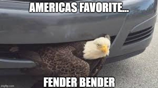 americas favorite | AMERICAS FAVORITE... FENDER BENDER | image tagged in car memes | made w/ Imgflip meme maker