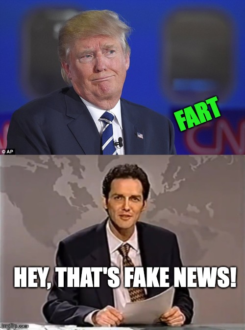 FART; HEY, THAT'S FAKE NEWS! | image tagged in donald trump did you fart or just make the face,weekend update with norm | made w/ Imgflip meme maker