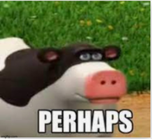 Perhaps | image tagged in perhaps | made w/ Imgflip meme maker