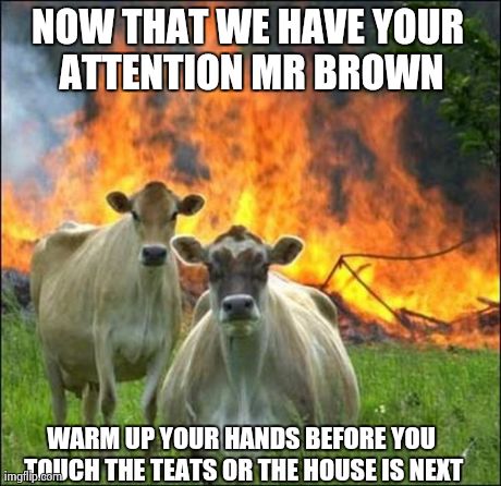 Evil Cows Meme | image tagged in memes,evil cows | made w/ Imgflip meme maker