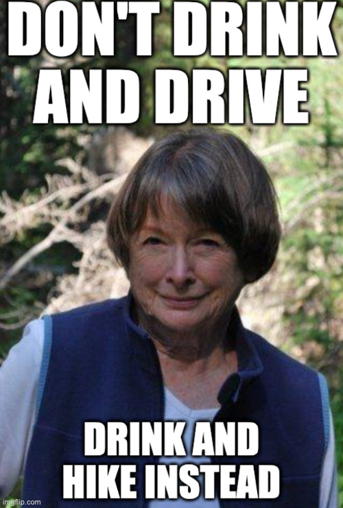 DON'T DRINK AND DRIVE | image tagged in drunken mother in law hypocrite nag | made w/ Imgflip meme maker