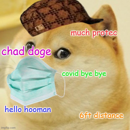 doge chad | much protec; chad doge; covid bye bye; hello hooman; 6ft distance | image tagged in memes,doge | made w/ Imgflip meme maker