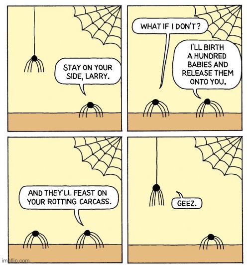 spiders actually do this irl tho | image tagged in funny,spiders,comics/cartoons,threat | made w/ Imgflip meme maker