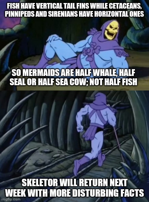Mermaids have horizontal tail fins, so... |  FISH HAVE VERTICAL TAIL FINS WHILE CETACEANS, PINNIPEDS AND SIRENIANS HAVE HORIZONTAL ONES; SO MERMAIDS ARE HALF WHALE, HALF SEAL OR HALF SEA COW; NOT HALF FISH; SKELETOR WILL RETURN NEXT WEEK WITH MORE DISTURBING FACTS | image tagged in disturbing facts skeletor,mermaid,fish,whale,seal | made w/ Imgflip meme maker