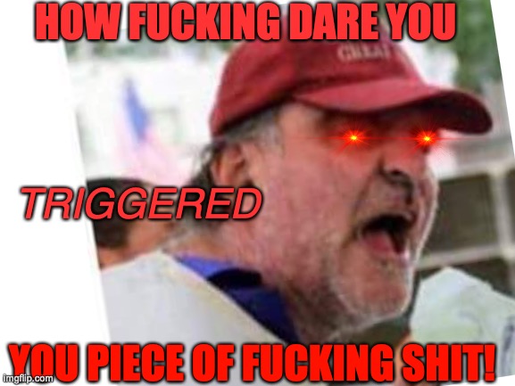 HOW FUCKING DARE YOU YOU PIECE OF FUCKING SHIT! TRIGGERED | made w/ Imgflip meme maker