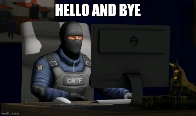 counter-terrorist looking at the computer | HELLO AND BYE | image tagged in computer | made w/ Imgflip meme maker