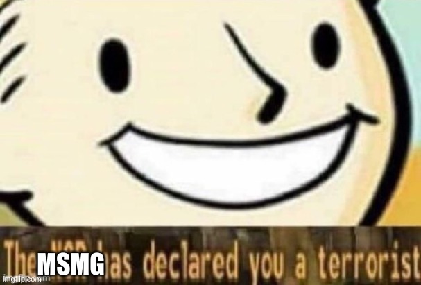 The NCR has declared you a terrorist | MSMG | image tagged in the ncr has declared you a terrorist | made w/ Imgflip meme maker