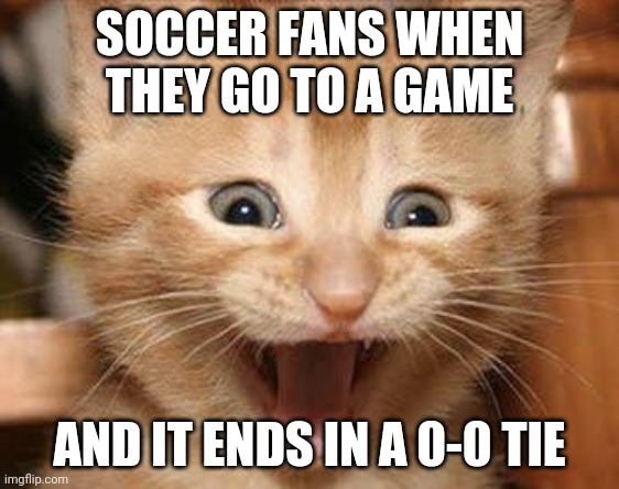 I just dont understand | SOCCER FANS WHEN THEY GO TO A GAME; AND IT ENDS IN A 0-0 TIE | image tagged in memes,excited cat | made w/ Imgflip meme maker