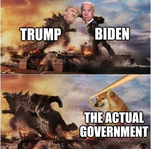 The 2020 election in a nutshell | BIDEN; TRUMP; THE ACTUAL GOVERNMENT | image tagged in kong godzilla doge,biden,trump,politics,government,in a nutshell | made w/ Imgflip meme maker