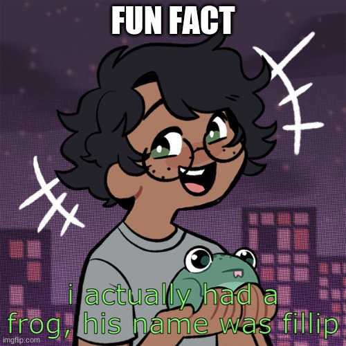 Ram3n picrew | FUN FACT; i actually had a frog, his name was fillip | image tagged in ram3n picrew | made w/ Imgflip meme maker