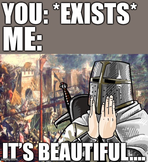 It’s…..amazing… *sniff* | YOU: *EXISTS*; ME:; IT’S BEAUTIFUL…. | image tagged in crusader | made w/ Imgflip meme maker