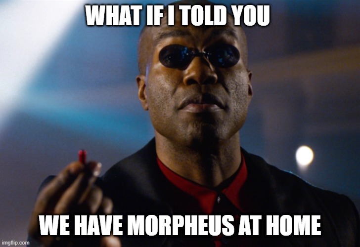 WHAT IF I TOLD YOU; WE HAVE MORPHEUS AT HOME | image tagged in memes | made w/ Imgflip meme maker