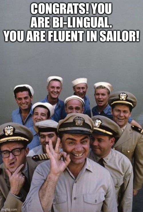 McHale's Navy | CONGRATS! YOU ARE BI-LINGUAL.
YOU ARE FLUENT IN SAILOR! | image tagged in mchale's navy | made w/ Imgflip meme maker