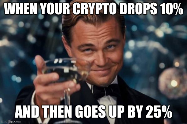 It's a funny old game | WHEN YOUR CRYPTO DROPS 10%; AND THEN GOES UP BY 25% | image tagged in memes,leonardo dicaprio cheers | made w/ Imgflip meme maker