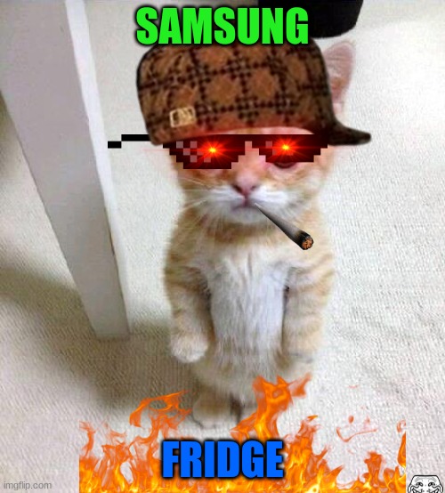 Cute Cat Meme | SAMSUNG; FRIDGE | image tagged in memes,cute cat | made w/ Imgflip meme maker