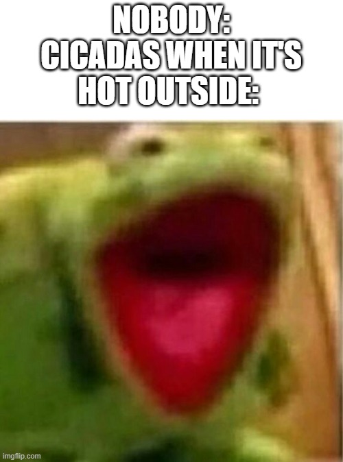 They make the loudest noise possible | NOBODY:
CICADAS WHEN IT'S HOT OUTSIDE: | image tagged in ahhhhhhhhhhhhh | made w/ Imgflip meme maker