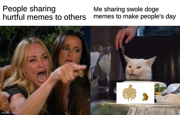 Woman Yelling At Cat Meme | People sharing hurtful memes to others; Me sharing swole doge memes to make people's day | image tagged in memes,woman yelling at cat | made w/ Imgflip meme maker