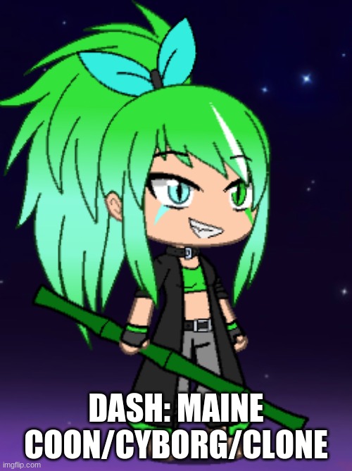 dash | DASH: MAINE COON/CYBORG/CLONE | image tagged in dash temp | made w/ Imgflip meme maker