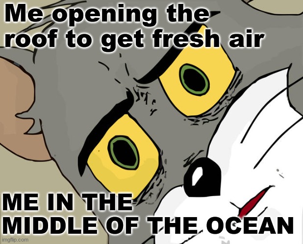 WAT R U DOOIN | Me opening the roof to get fresh air; ME IN THE MIDDLE OF THE OCEAN | image tagged in memes,unsettled tom,ocean,billy what have you done | made w/ Imgflip meme maker