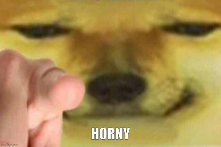 HORNY | HORNY | image tagged in horny | made w/ Imgflip meme maker