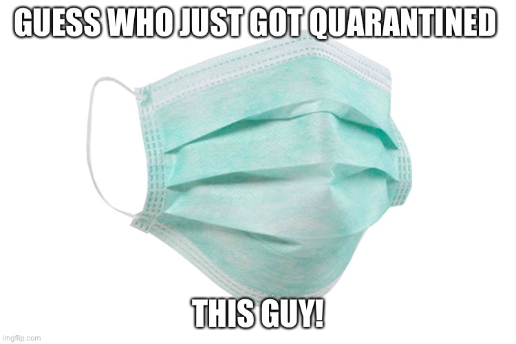 Mom has positive, yippee | GUESS WHO JUST GOT QUARANTINED; THIS GUY! | image tagged in face mask | made w/ Imgflip meme maker