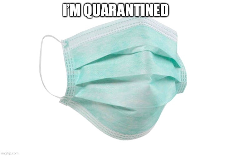 Fml | I’M QUARANTINED | image tagged in face mask | made w/ Imgflip meme maker