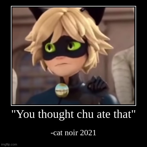Cat Noir meme | image tagged in funny,demotivationals | made w/ Imgflip demotivational maker