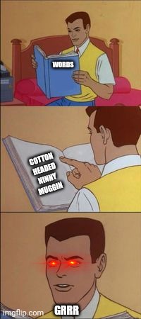 Cotton headed |  WORDS; COTTON HEADED NINNY MUGGIN; GRRR | image tagged in peter parker reading a book,cotton headed ninny muggin | made w/ Imgflip meme maker