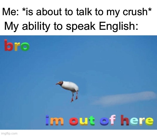 Bro I'm out of here | Me: *is about to talk to my crush*; My ability to speak English: | image tagged in bro i'm out of here | made w/ Imgflip meme maker