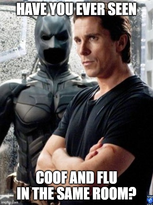 coof | HAVE YOU EVER SEEN; COOF AND FLU
IN THE SAME ROOM? | made w/ Imgflip meme maker