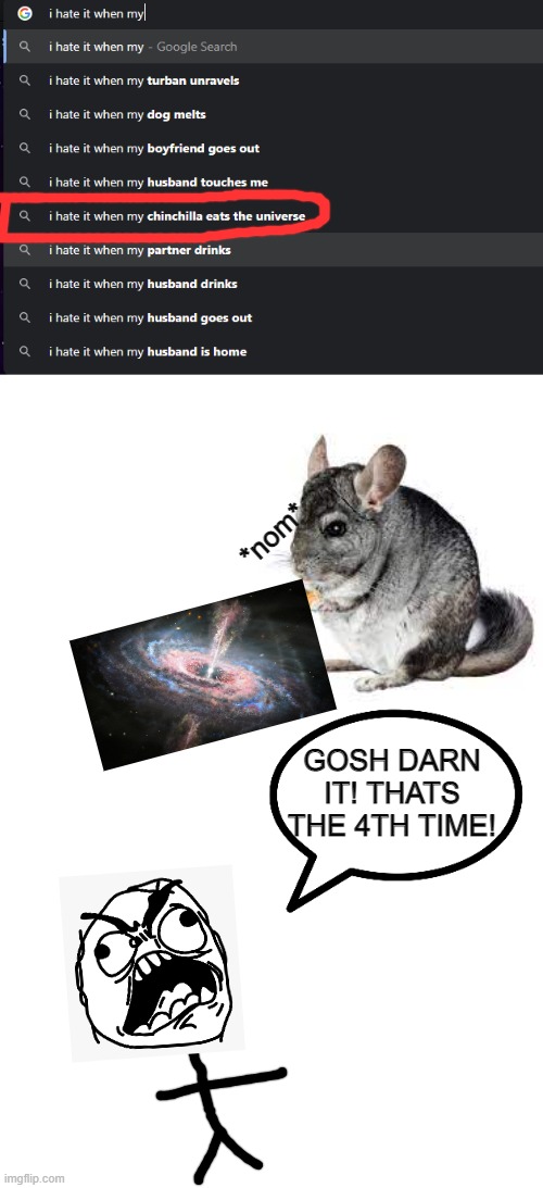 hmmmm | *nom*; GOSH DARN IT! THATS THE 4TH TIME! | image tagged in i hate it when,google,chinchillas | made w/ Imgflip meme maker