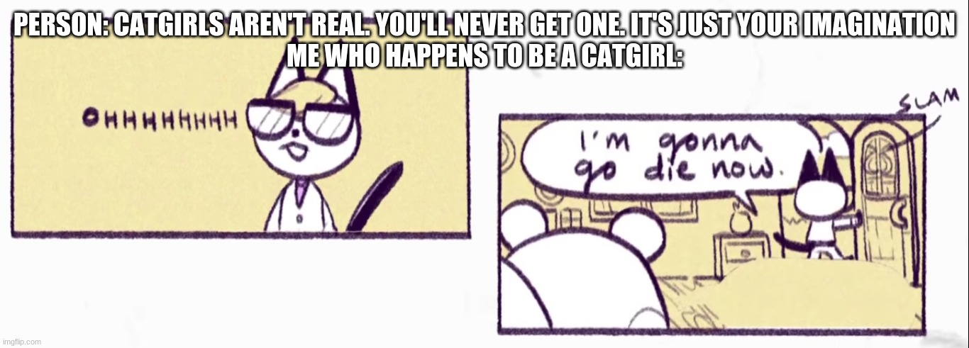 imma go die now | PERSON: CATGIRLS AREN'T REAL. YOU'LL NEVER GET ONE. IT'S JUST YOUR IMAGINATION
ME WHO HAPPENS TO BE A CATGIRL: | image tagged in imma go die now | made w/ Imgflip meme maker