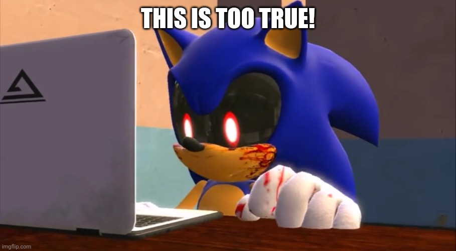 Sonic.exe finds the internet | THIS IS TOO TRUE! | image tagged in sonic exe finds the internet | made w/ Imgflip meme maker