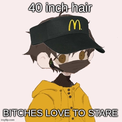 McDonalds Venus | 40 inch hair; BITCHES LOVE TO STARE | image tagged in mcdonalds venus | made w/ Imgflip meme maker