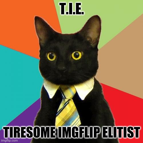 T.I.E. | T.I.E. TIRESOME IMGFLIP ELITIST | image tagged in memes,business cat,tie,comment section,comments,comment | made w/ Imgflip meme maker