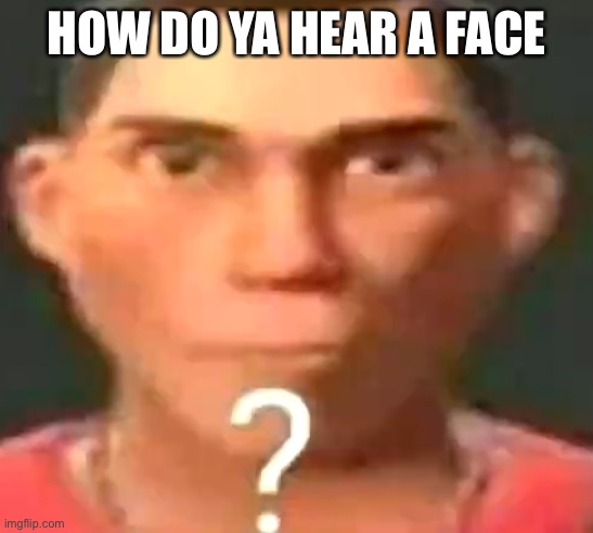 Scout confused | HOW DO YA HEAR A FACE | image tagged in scout confused | made w/ Imgflip meme maker