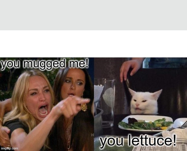 Woman Yelling At Cat Meme | you mugged me! you lettuce! | image tagged in memes,woman yelling at cat | made w/ Imgflip meme maker
