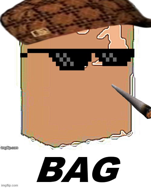 Made an AI to make this | image tagged in bag,ai meme | made w/ Imgflip meme maker