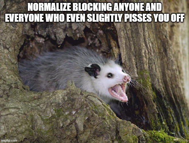 it's not childish, it's the entire purpose of the block button | NORMALIZE BLOCKING ANYONE AND EVERYONE WHO EVEN SLIGHTLY PISSES YOU OFF | image tagged in possum,normalize | made w/ Imgflip meme maker