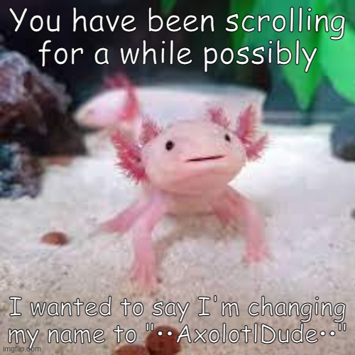 HEHE |  You have been scrolling for a while possibly; I wanted to say I'm changing my name to "••AxolotlDude••" | image tagged in axolotldude | made w/ Imgflip meme maker