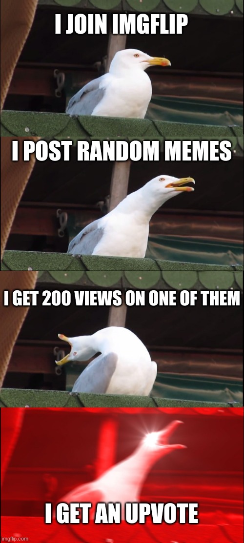 true story | I JOIN IMGFLIP; I POST RANDOM MEMES; I GET 200 VIEWS ON ONE OF THEM; I GET AN UPVOTE | image tagged in memes,inhaling seagull,funny,funny memes | made w/ Imgflip meme maker