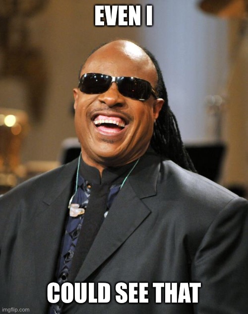 Stevie Wonder | EVEN I COULD SEE THAT | image tagged in stevie wonder | made w/ Imgflip meme maker